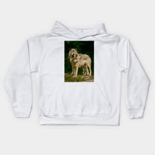 Gray Wolf Kids Hoodie